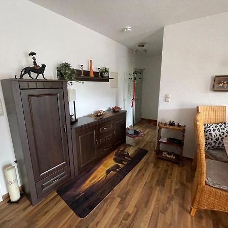 Moeblierte Wohnung Fuer Geschaeftsreisen/Ferienwohnung Plauen Stadtmitte 外观 照片